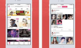 那个app可以直播性爱赚钱,隐私与道德的边缘挑战